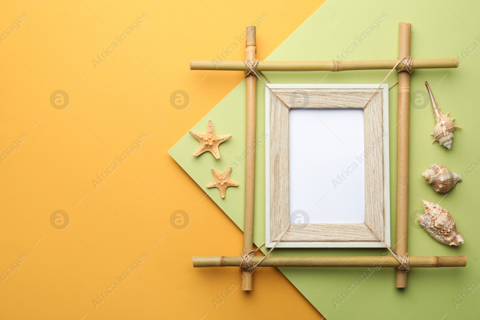 Photo of Empty bamboo frame, starfishes and seashells on color background, flat lay. Space for text