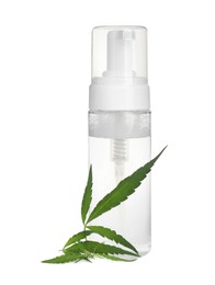 Photo of Bottle of hemp cosmetics with green leaves isolated on white