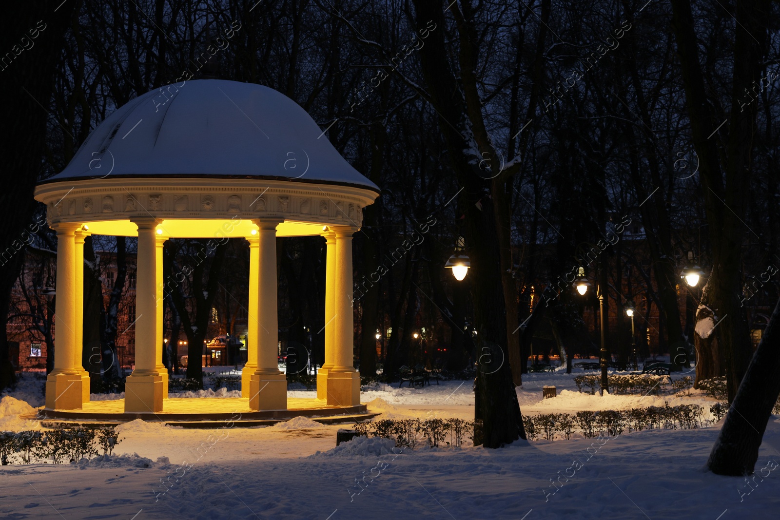 Photo of Trees, street lamps, gazebo and snow in evening park