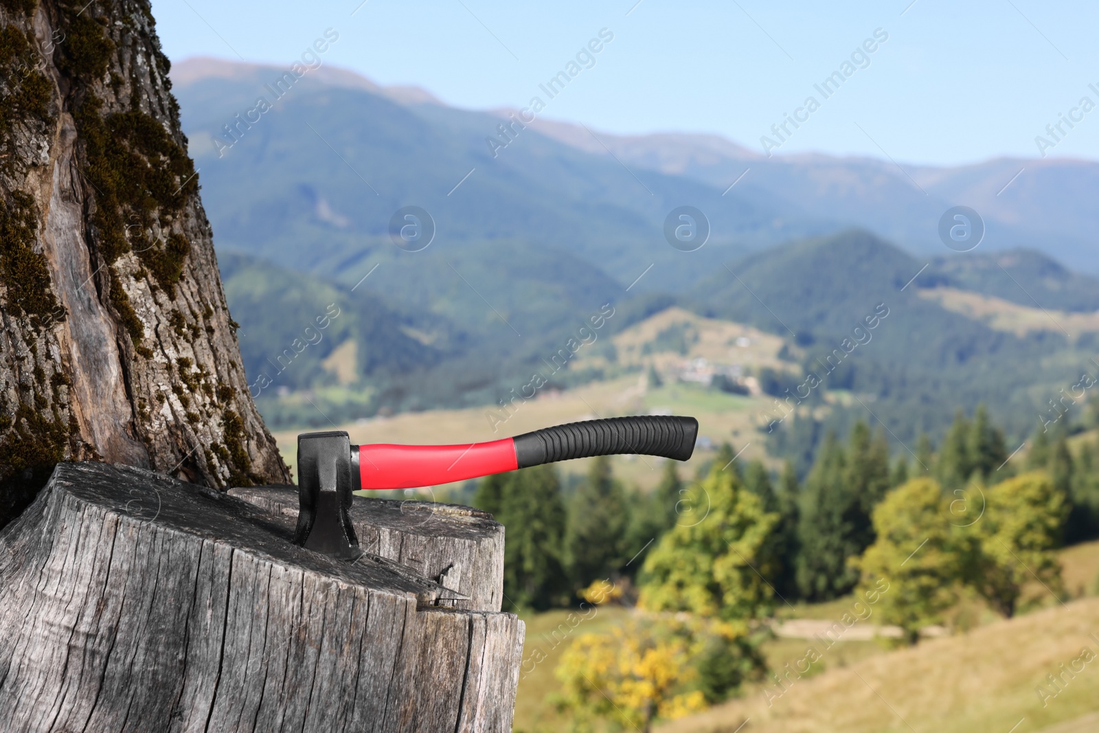 Photo of Tree stump with axe in mountains. Professional tool
