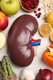 Flat lay composition with kidney model and different products on white wooden table