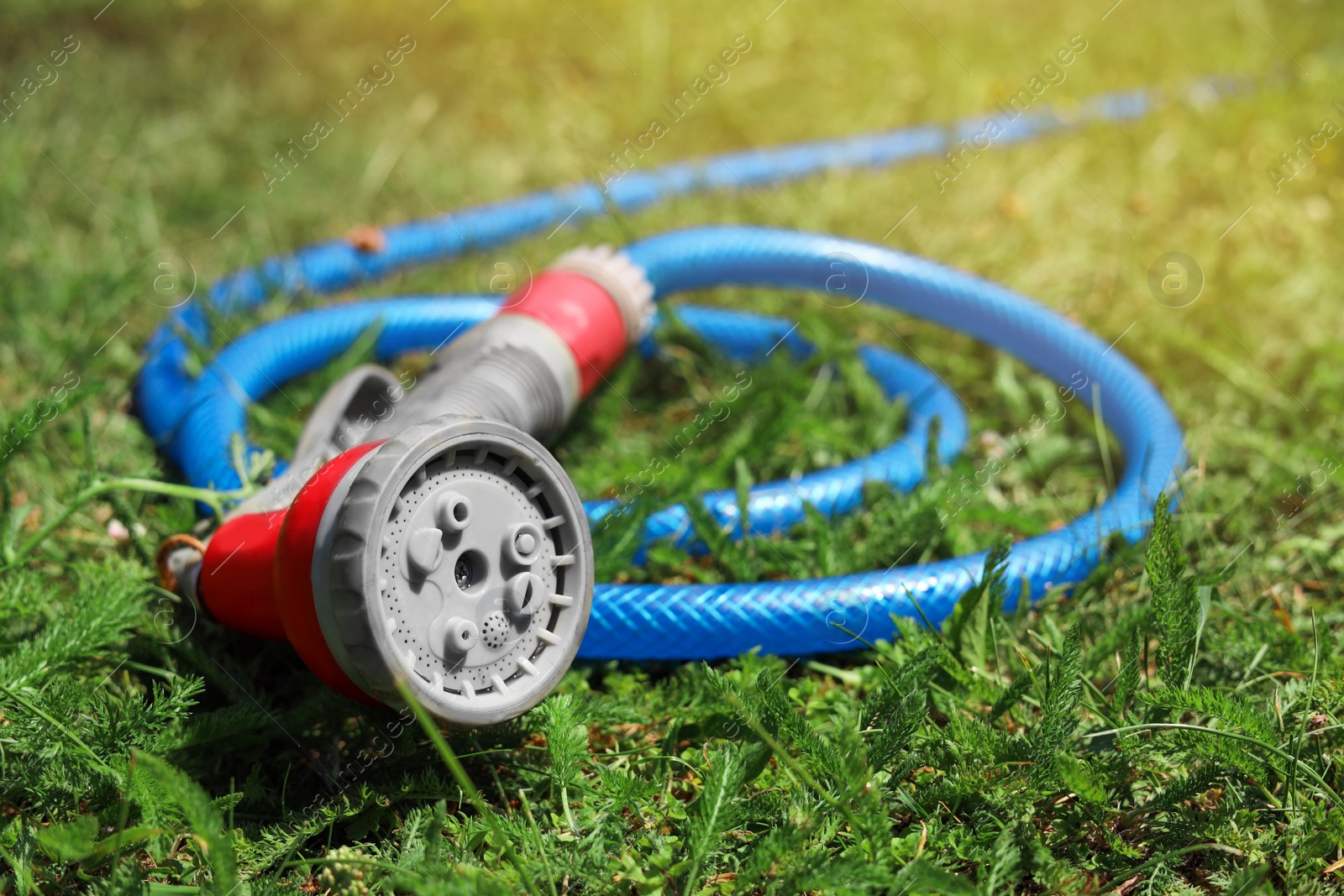 Photo of Watering hose with sprinkler on green grass outdoors, closeup. Space for text