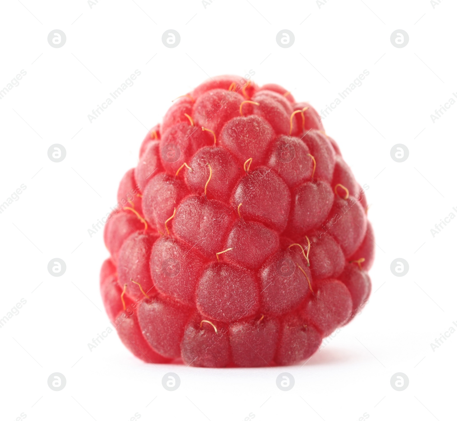 Photo of Delicious fresh ripe raspberry on white background