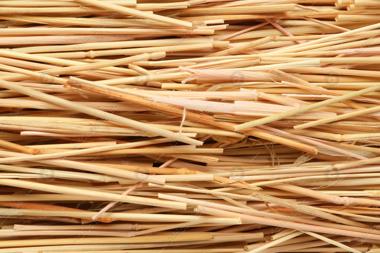 Photo of Closeup of dried hay as background, top view