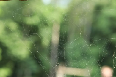 Photo of Old dusty cobweb on blurred background, closeup