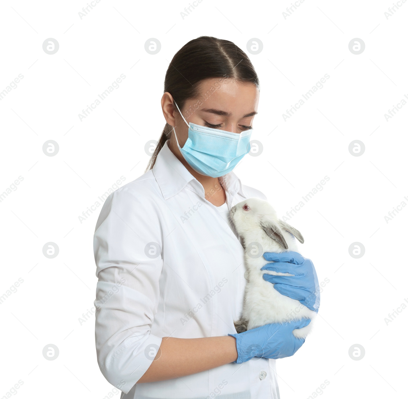 Photo of Scientist holding rabbit on white background. Animal testing concept