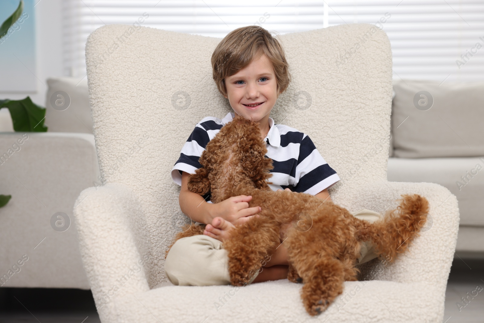 Photo of Little child with cute puppy in armchair at home. Lovely pet