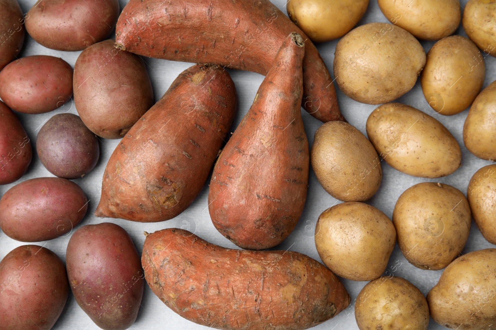 Photo of Different types of fresh potatoes on light gray table, flat lay