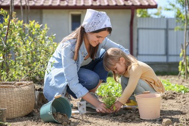 Photo of Mother and her cute daughter planting tree together in garden