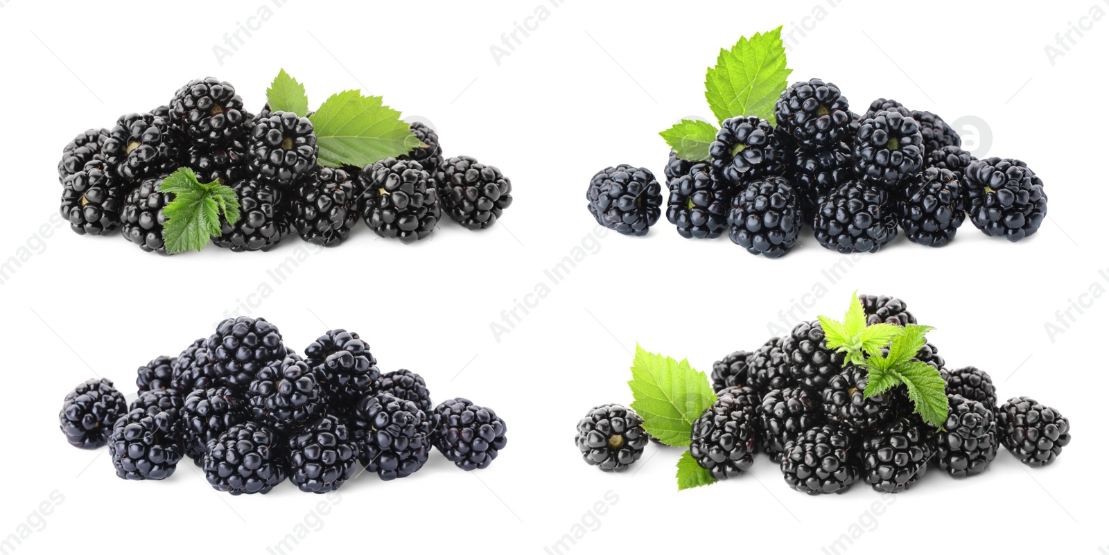 Image of Set with delicious ripe blackberries on white background