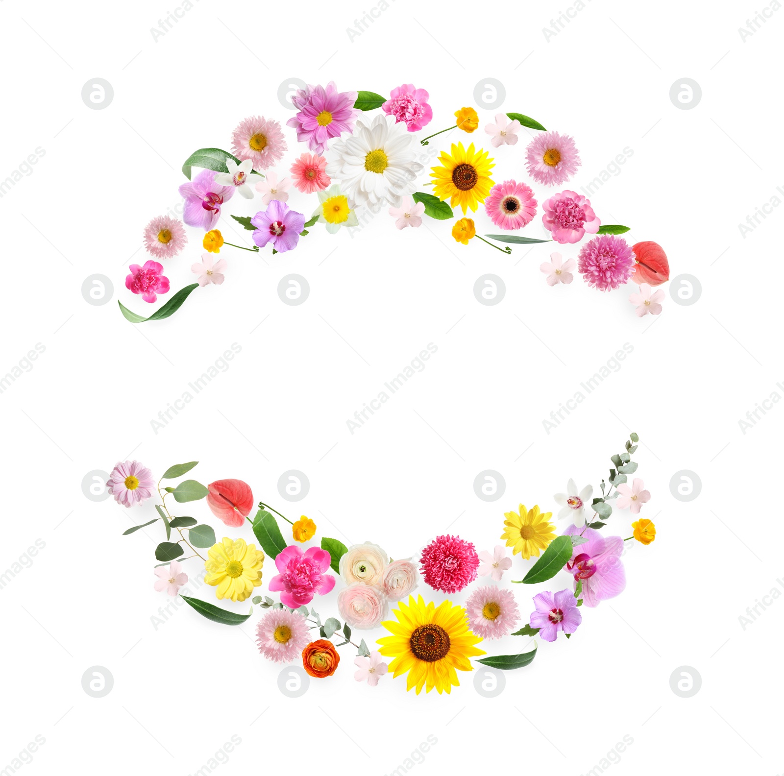 Image of Wreaths made of beautiful flowers on white background