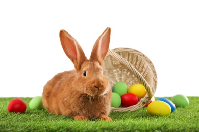 Cute bunny and Easter eggs on green grass against white background