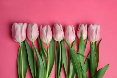 Photo of Beautiful spring tulips on pink background, flat lay