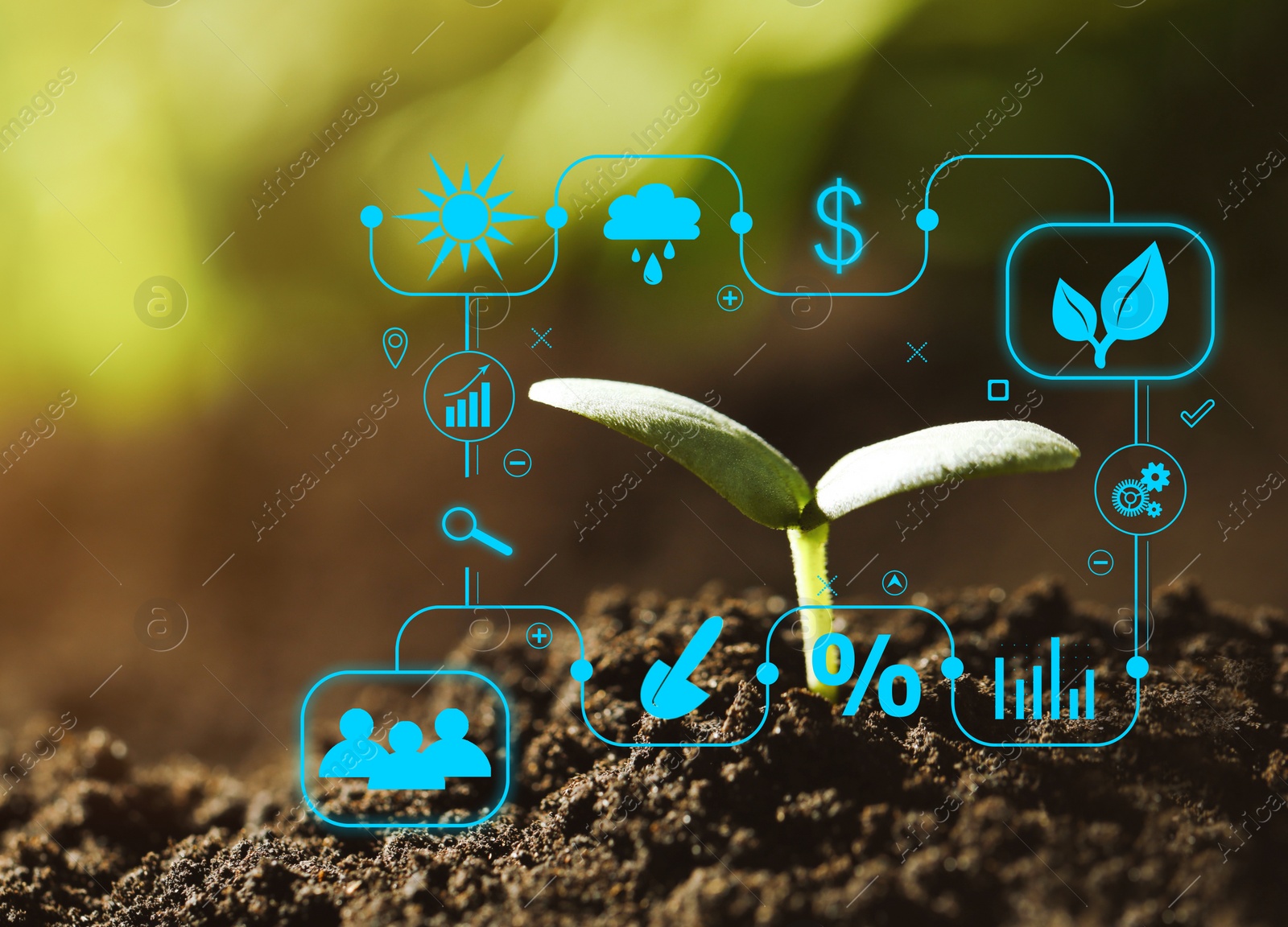 Image of Modern technology in agriculture. Green seedling and icons