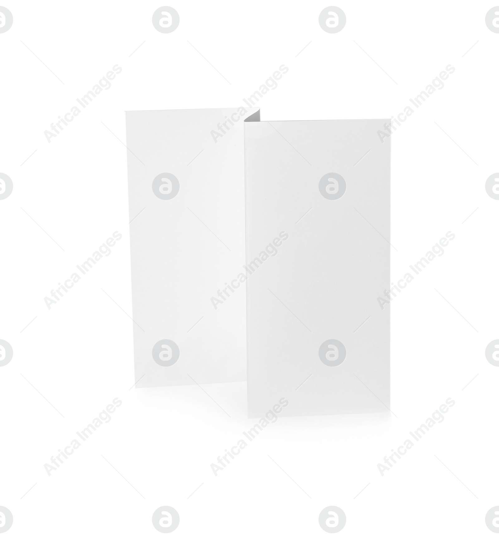 Photo of Blank brochure on white background. Mock up for design