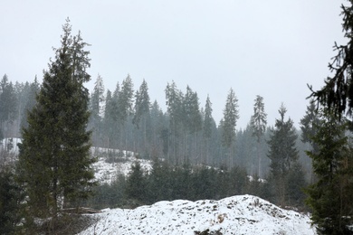 Photo of Beautiful landscape with conifer forest. Winter vacation