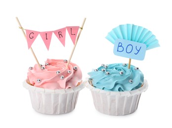 Baby shower cupcakes with Boy and Girl toppers on white background