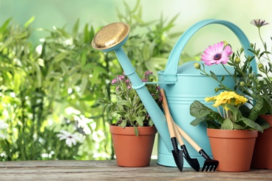 Photo of Potted blooming flowers and gardening equipment on wooden table, space for text