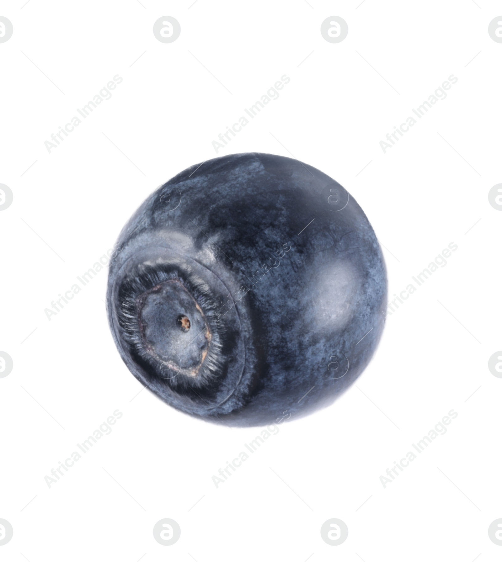 Photo of One ripe bilberry isolated on white. Seasonal berries