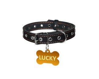 Image of Black leather dog collar with bone shaped tag isolated on white