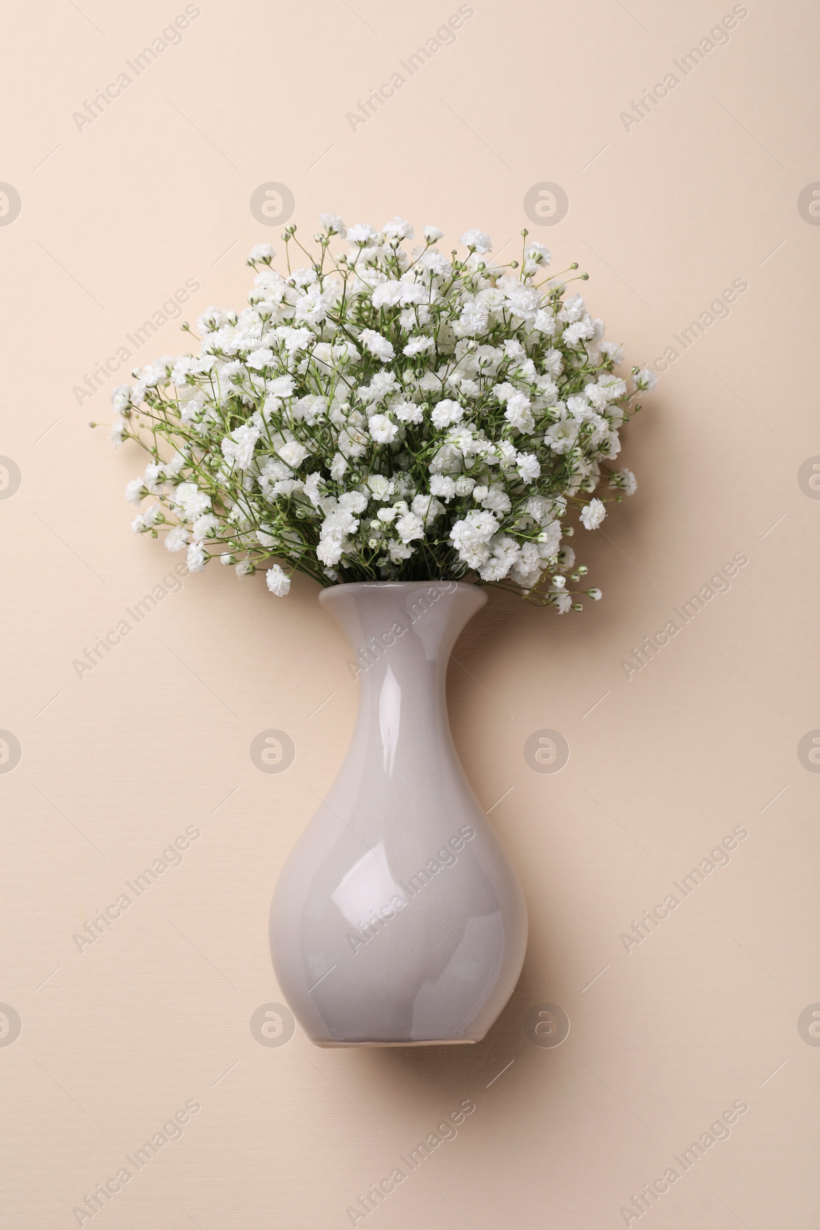 Photo of Bouquet of white gypsophila in ceramic vase on beige background, top view