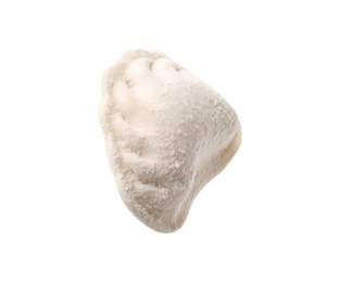 Photo of Raw dumpling (varenyk) with tasty filling isolated on white