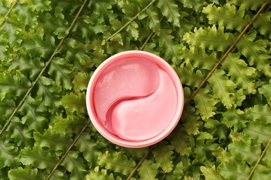 Photo of Jar of under eye patches on green fern leaves, top view. Cosmetic product