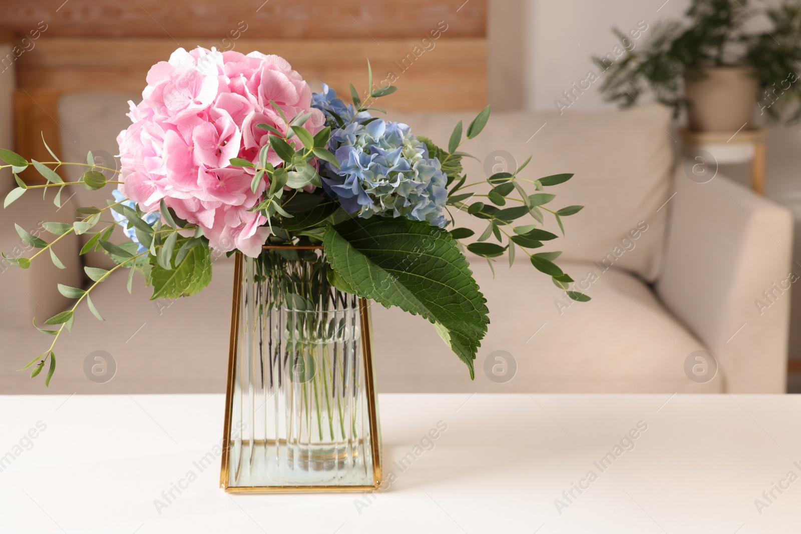 Photo of Beautiful hortensia flowers in vase on white table indoors. Space for text