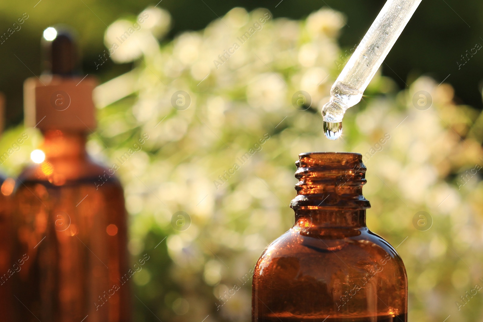 Photo of Dripping chamomile essential oil from pipette into bottle on blurred background, closeup. Space for text