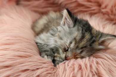 Photo of Cute kitten sleeping on pink fuzzy rug
