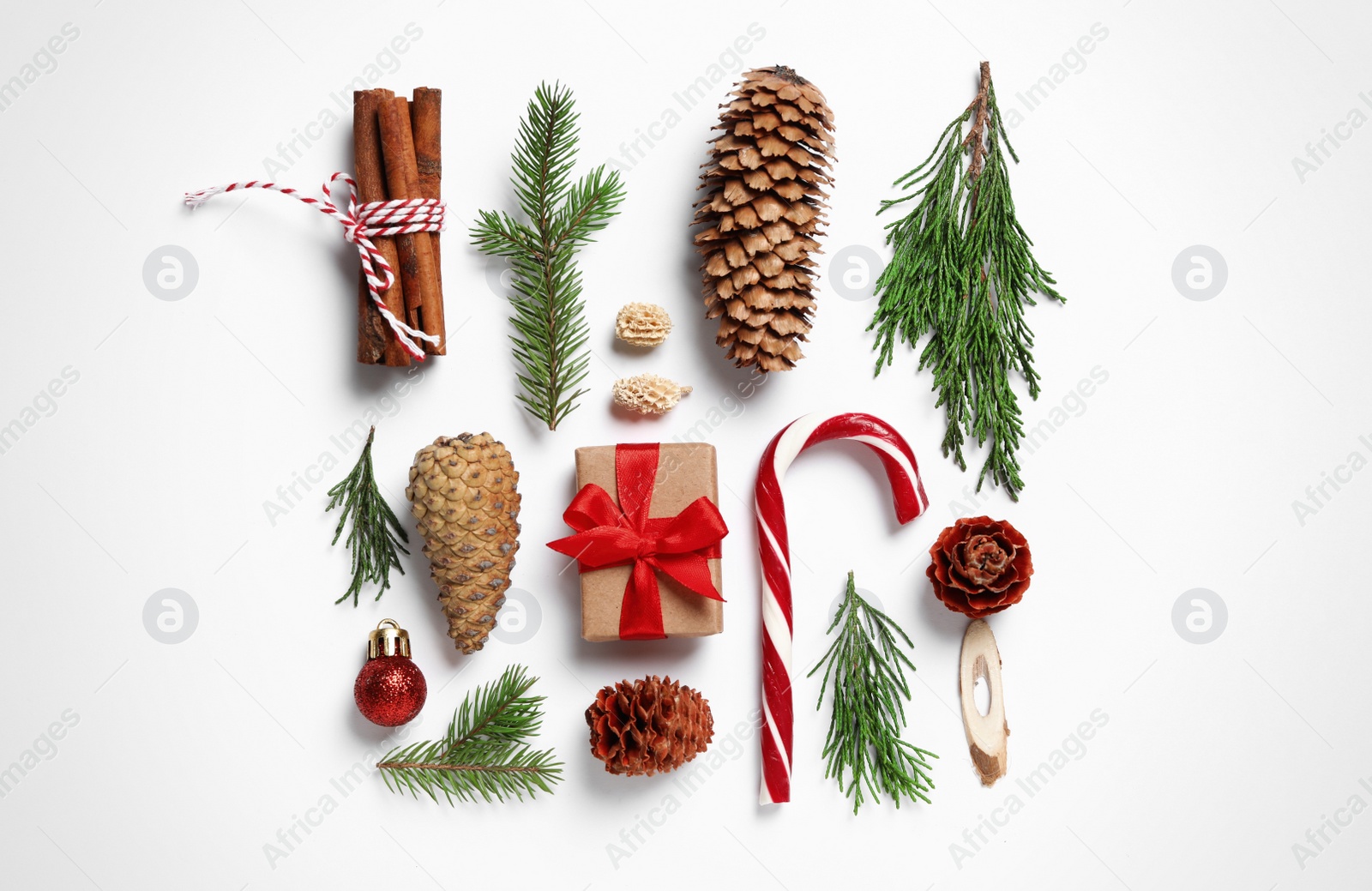 Photo of Flat lay composition with pinecones on white background