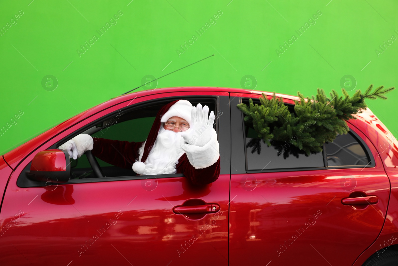 Photo of Authentic Santa Claus with fir tree driving car against green background