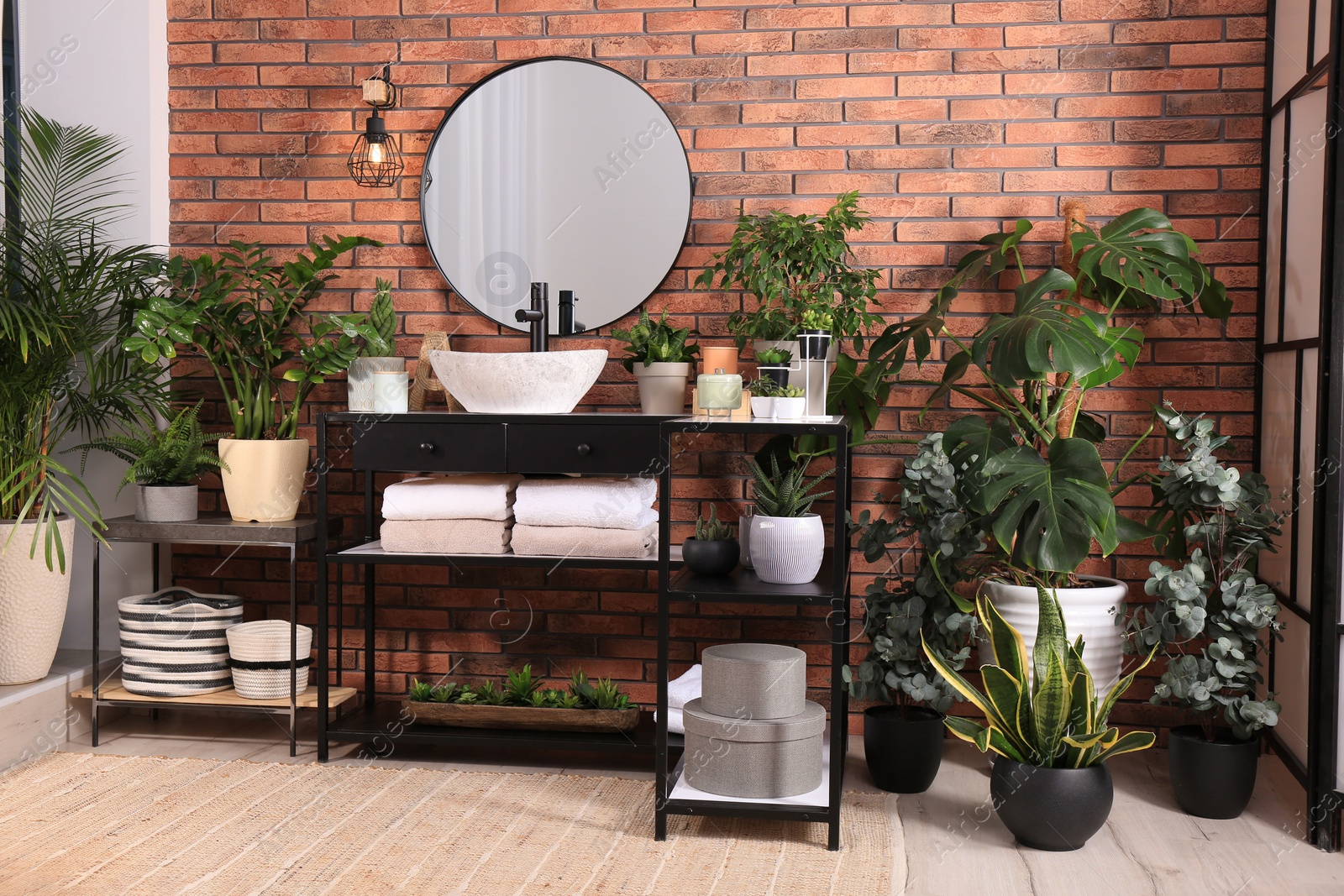 Photo of Stylish bathroom interior with modern sink, furniture and beautiful green houseplants