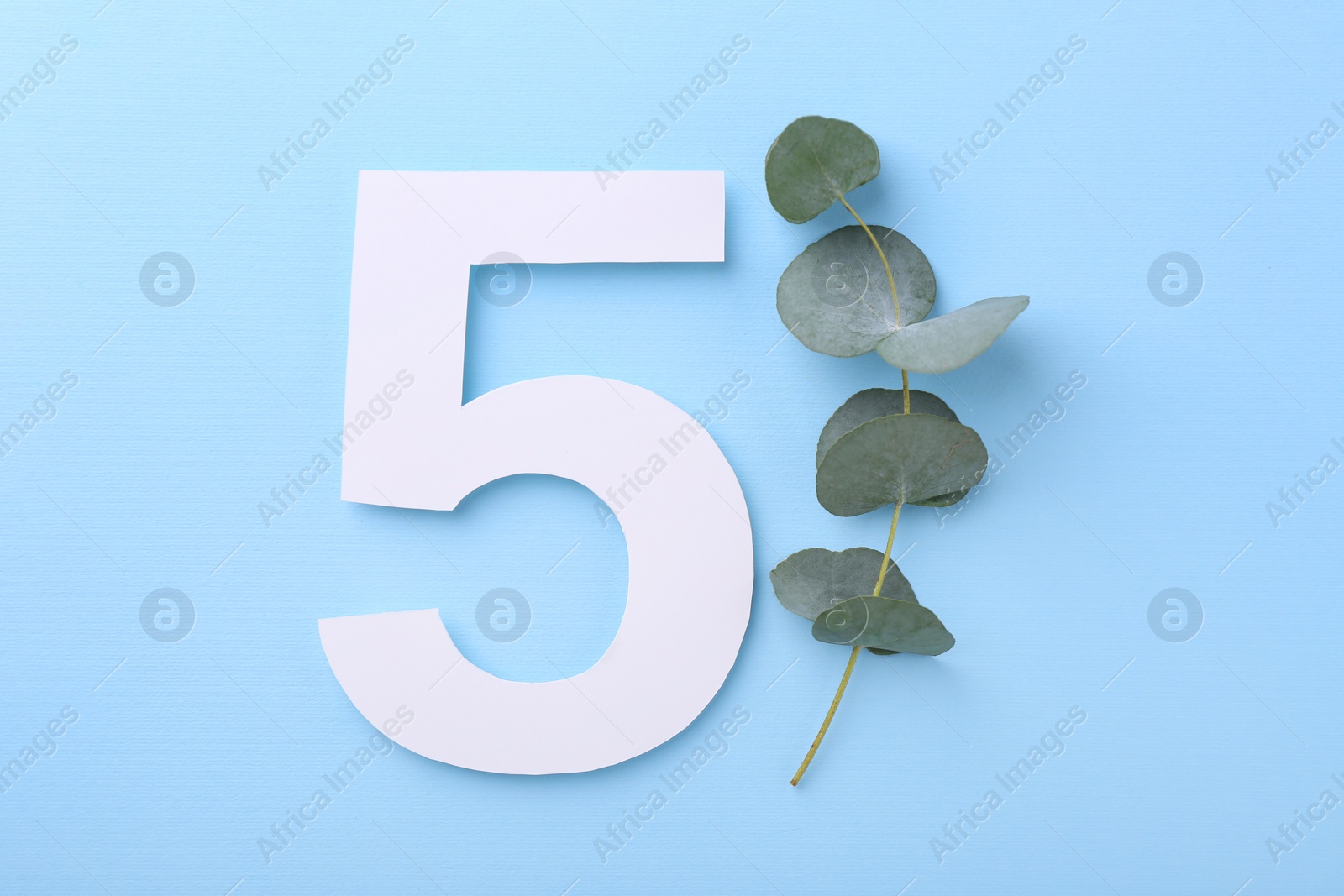 Photo of Paper number 5 and eucalyptus branch on light blue background, top view