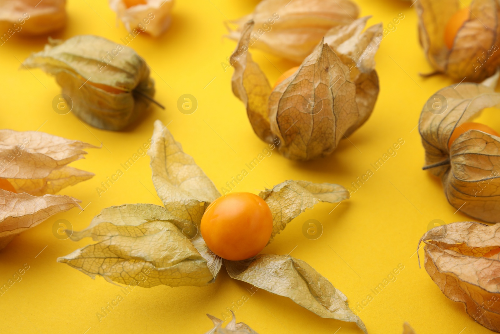 Photo of Ripe physalis fruits with calyxes on yellow background, closeup