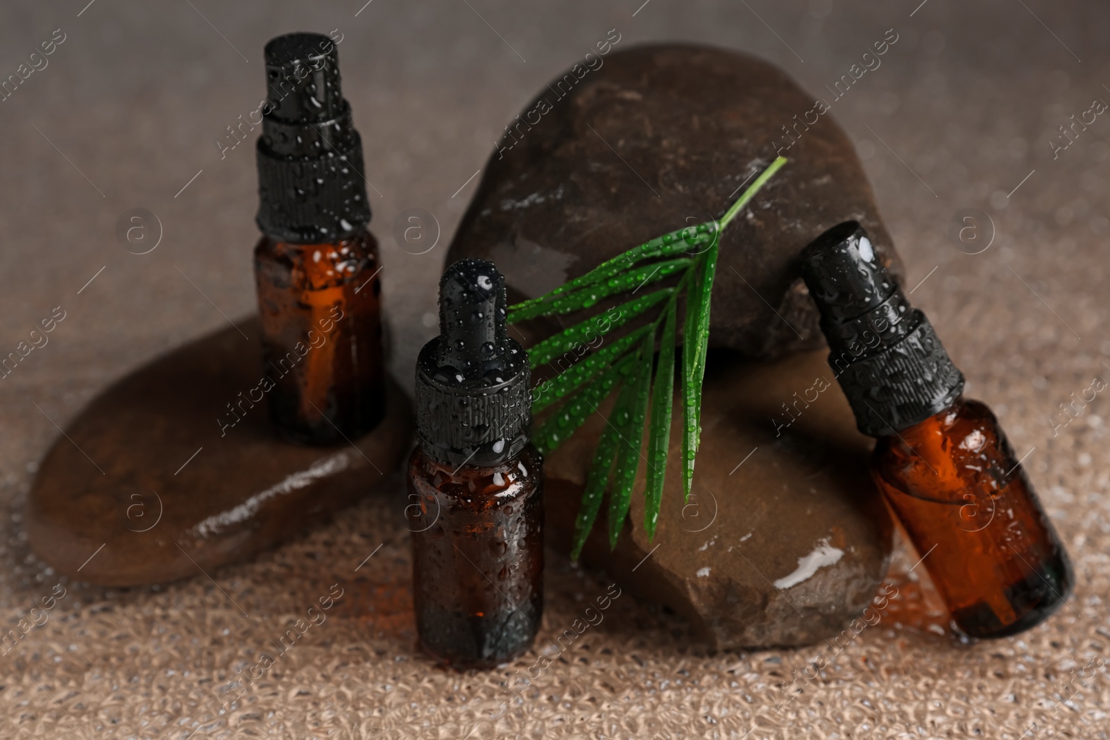 Photo of Bottles of organic cosmetic products, green leaf and stones on wet surface