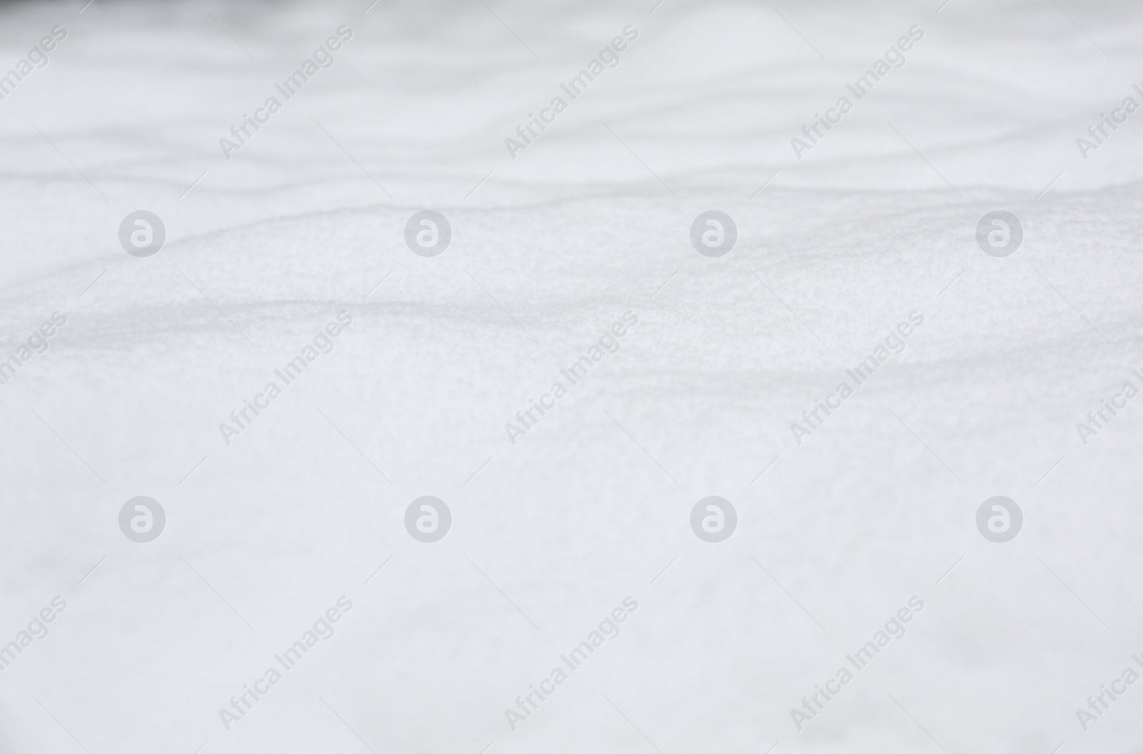 Photo of Beautiful white snow outdoors, closeup. Winter season