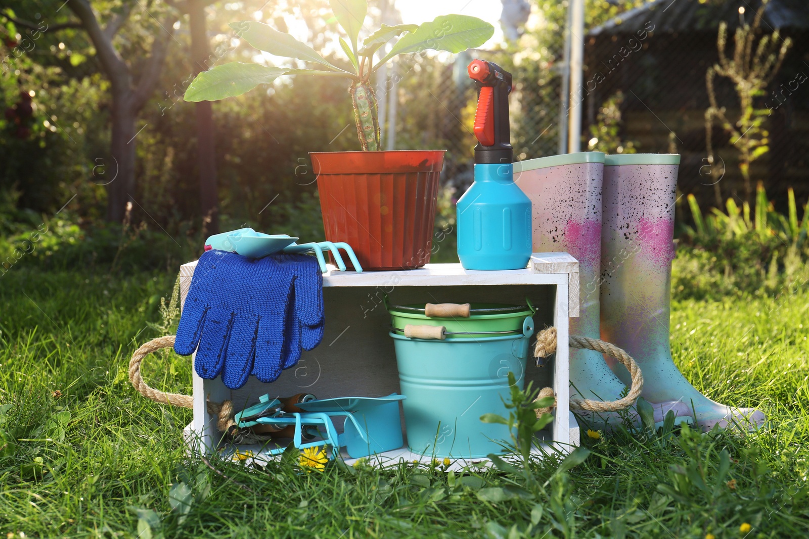 Photo of Pair of gloves, gardening tools, potted plant and rubber boots on grass outdoors