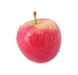 Photo of One ripe red apple with water drops isolated on white