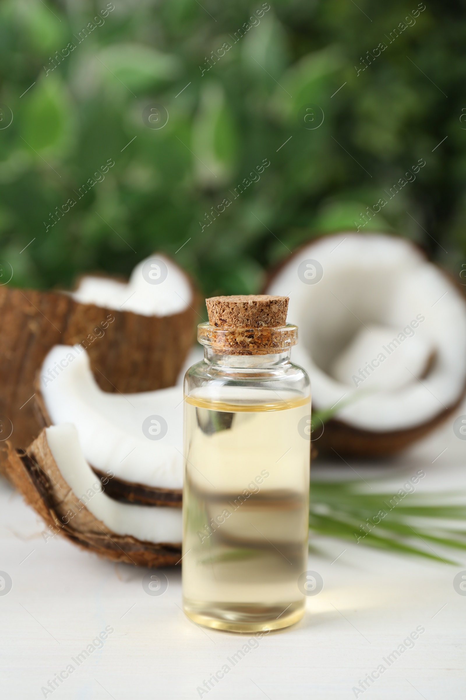 Photo of Bottle of organic coconut cooking oil, leaf and fresh fruits on white wooden table, closeup