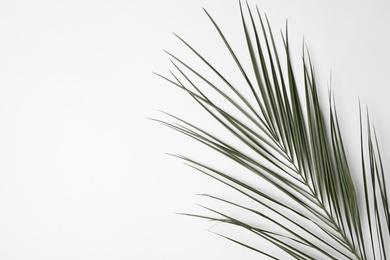 Photo of Leaf of tropical palm tree on white background, top view