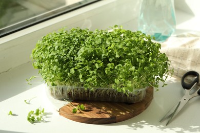 Photo of Fresh daikon radish microgreen growing in plastic container and scissors on windowsill