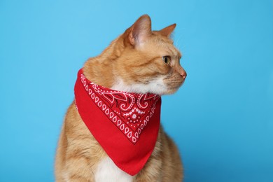 Cute ginger cat with bandana on light blue background. Adorable pet