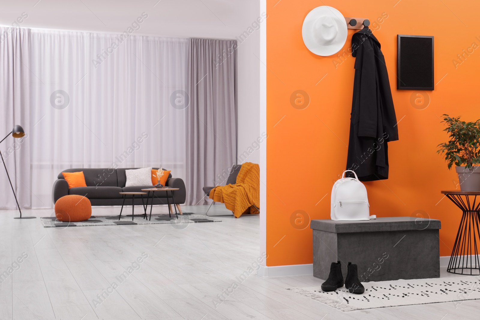 Photo of Hat, coat, backpack and houseplant near orange wall in stylish hallway, space for text. Interior design