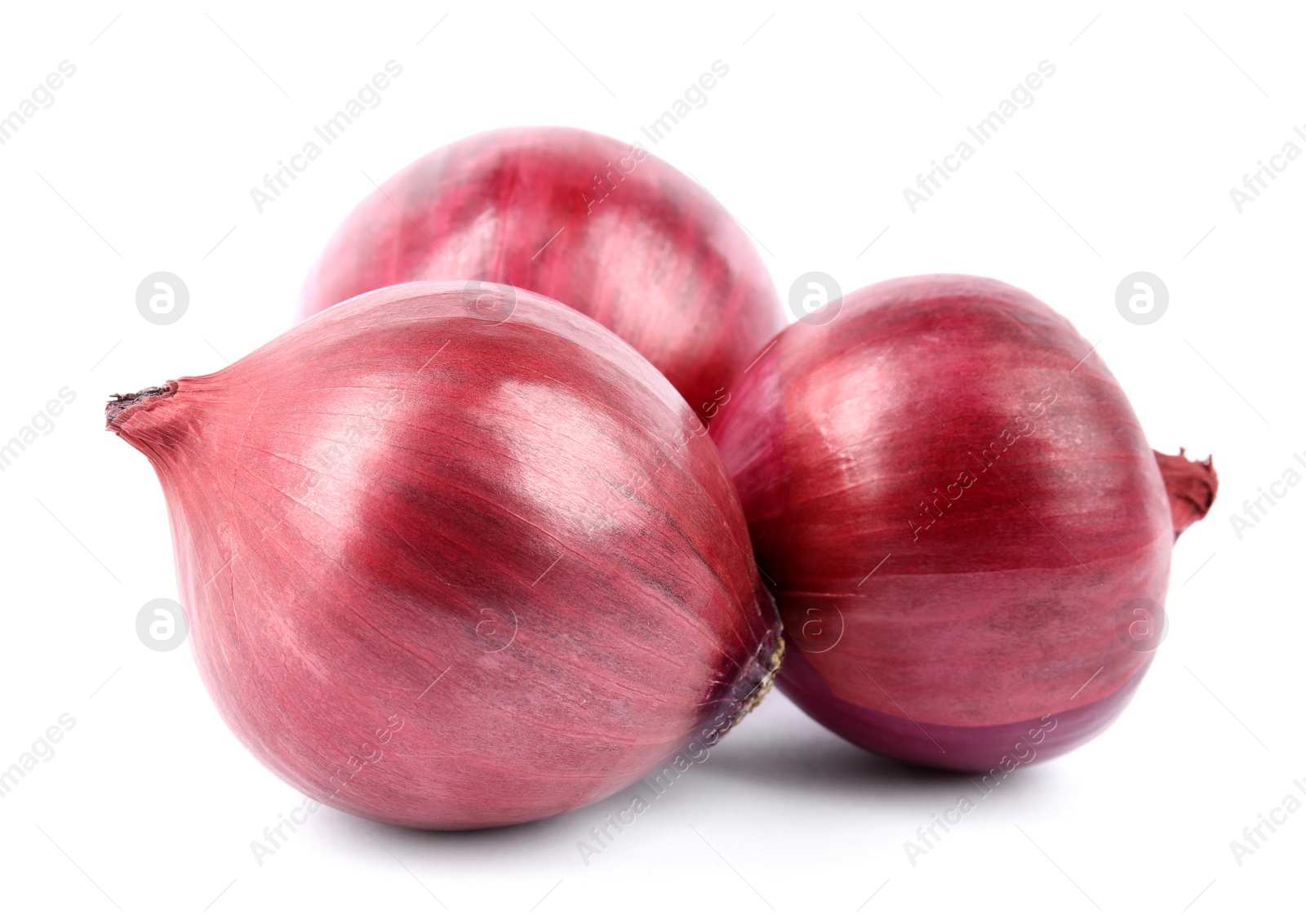 Photo of Fresh whole red onions on white background