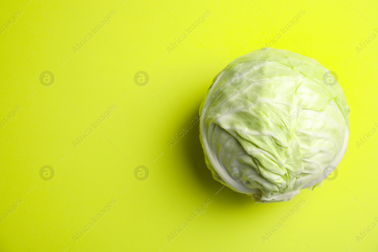 Photo of Ripe cabbage on color background, top view