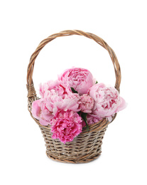 Photo of Beautiful peonies in wicker basket isolated on white