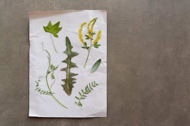 Photo of Sheet of paper with dried flowers and leaves on grey background, top view. Space for text