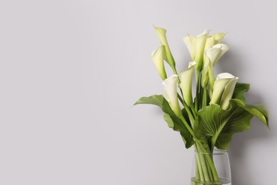 Photo of Beautiful calla lily flowers in vase on white background, space for text
