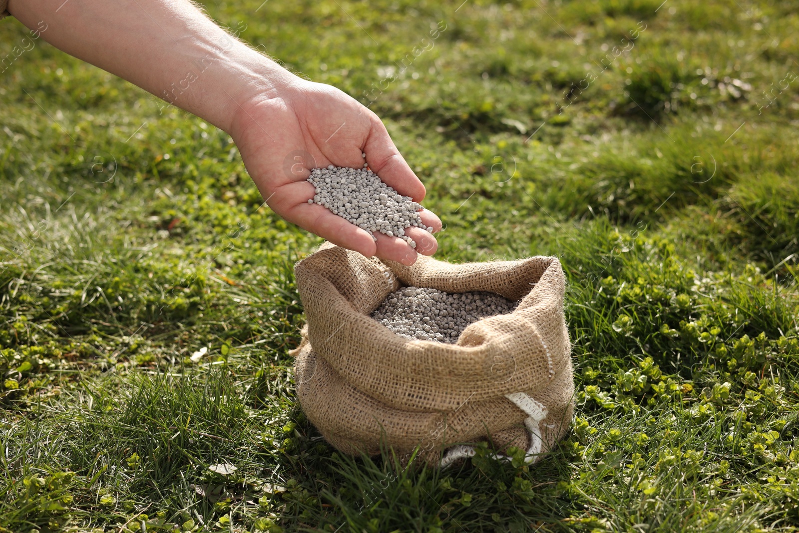 Photo of Man with fertilizer on green grass outdoors, closeup